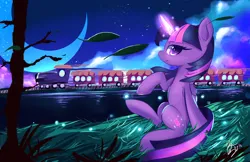 Size: 5100x3300 | Tagged: safe, artist:kawaiipony2, derpibooru import, twilight sparkle, twilight sparkle (alicorn), alicorn, pony, absurd resolution, crescent moon, female, folded wings, glow, glowing horn, grass, horn, image, leaves, magic, mare, moon, night, night sky, outdoors, png, sitting, sky, solo, train, wings