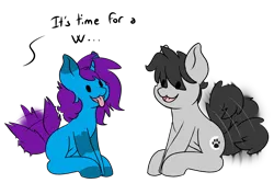 Size: 3000x2000 | Tagged: safe, artist:noxi1_48, derpibooru import, earth pony, pony, unicorn, behaving like a dog, cute, daily dose of friends, eye clipping through hair, happy, image, open mouth, open smile, png, smiling, tail, tail wag, tongue out