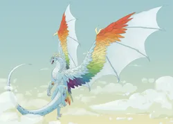 Size: 2269x1624 | Tagged: safe, artist:lyrebones, derpibooru import, rainbow dash, dragon, cloud, colored wings, dragonified, flying, image, png, rainbow dragon, sky, solo, species swap, wings