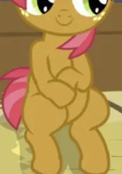 Size: 378x541 | Tagged: safe, derpibooru import, screencap, babs seed, earth pony, pony, apple family reunion, belly, cropped, image, pictures of bellies, png, sitting, smiling, solo