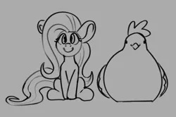 Size: 1026x683 | Tagged: safe, artist:aliceg, derpibooru import, fluttershy, bird, chicken, pegasus, pony, female, gray background, grayscale, image, looking at you, mare, monochrome, png, pun, simple background, sitting, smiling, smiling at you, visual pun