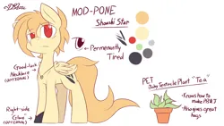 Size: 1920x1080 | Tagged: safe, artist:dshou, derpibooru import, oc, oc:shoushi star, unofficial characters only, pegasus, pony, bags under eyes, image, jewelry, male, necklace, plant, png, red eyes, reference sheet, simple background, solo, stallion, white background