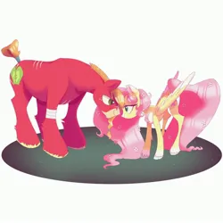 Size: 3000x3000 | Tagged: safe, artist:texacity, derpibooru import, big macintosh, fluttershy, earth pony, pegasus, pony, bandage, bandaged leg, female, flower, flower in hair, fluttermac, heart, heart eyes, height difference, high res, image, jpeg, larger male, looking at each other, looking at someone, looking into each others eyes, male, mare, scar, shipping, simple background, smaller female, stallion, straight, tail, tail wrap, unshorn fetlocks, white background, wingding eyes