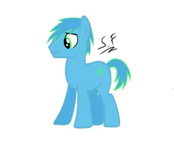 Size: 1301x1080 | Tagged: safe, artist:solemnfutury, derpibooru import, oc, pony, image, male, png, rainkick, simple background, solo, white background