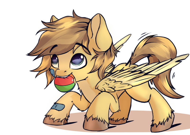 Size: 7016x4961 | Tagged: safe, artist:db, derpibooru import, oc, oc:buttercup, unofficial characters only, dog, dog pony, original species, pegasus, pony, ball, bandaid, colt, cute, foal, image, male, png, solo