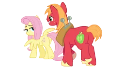 Size: 4000x2250 | Tagged: safe, anonymous artist, derpibooru import, big macintosh, fluttershy, earth pony, pegasus, pony, bedroom eyes, big backintosh, butt, female, flutterbutt, fluttermac, grin, high res, image, inviting, looking at each other, looking at someone, looking back, male, mare, plot, png, shipping, simple background, smiling, smiling at each other, spread wings, stallion, straight, transparent background, vector, wingboner, wings