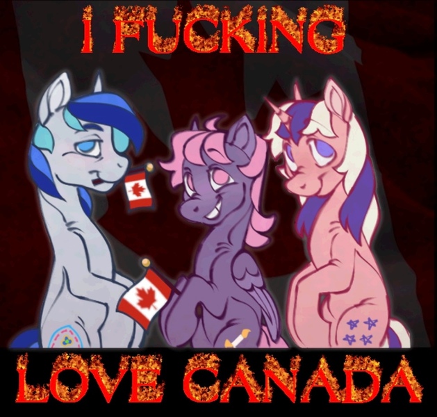 Size: 967x922 | Tagged: safe, artist:partyponypower, derpibooru import, denim blue, so soft twilight, twilight sparkle, earth pony, pegasus, pony, unicorn, g1, g3, canada, canadian flag, image, jpeg, looking at you, mouth hold, vulgar