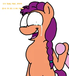 Size: 3023x3351 | Tagged: safe, artist:professorventurer, derpibooru import, pipp petals, sunny starscout, earth pony, pegasus, series:ask pippamena, g5, braid, braided ponytail, crying, encouragement, female, holding hooves, image, lesbian, pain, png, ponytail, primrose petals, shipping, sunnypipp, tears of joy