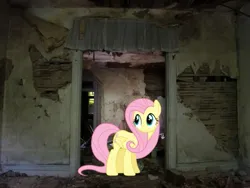 Size: 563x423 | Tagged: safe, derpibooru import, edit, fluttershy, pegasus, contrast, image, looking at something, png, real life background, solo