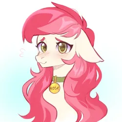 Size: 2000x2000 | Tagged: artist needed, safe, derpibooru import, roseluck, earth pony, pony, bust, collar, commission, commissioner:doom9454, cute, image, pet tag, png, pony pet, portrait, rosepet