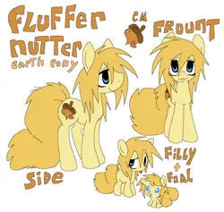 Size: 1038x985 | Tagged: safe, artist:muffinz, derpibooru import, oc, oc:fluffer nutter, unofficial characters only, pony, fluffy tail, image, png, reference sheet, simple background, tail, white background