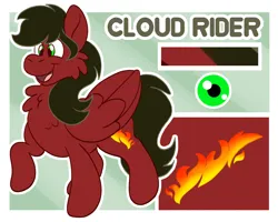 Size: 2500x2000 | Tagged: safe, artist:euspuche, derpibooru import, oc, oc:cloud rider, unofficial characters only, pegasus, image, png, reference sheet