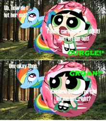Size: 1920x2184 | Tagged: safe, rainbow dash, pegasus, pony, 2 panel comic, buttercup (powerpuff girls), butterprey (ppg), comic, crossover, duo, duo female, endosoma, female, female pred, female prey, image, inside stomach, internal, mare, non-fatal vore, png, preddash, stomach noise, the powerpuff girls, vore, x-ray