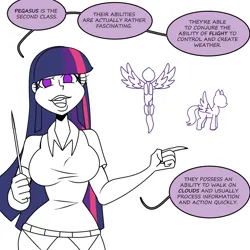 Size: 1500x1500 | Tagged: safe, artist:chillguydraws, derpibooru import, twilight sparkle, human, pegasus, pony, breasts, busty twilight sparkle, dialogue, female, humanized, image, partial color, png, pointer, simple background, solo, speech bubble, talking to viewer, white background