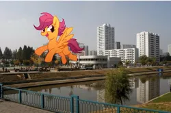 Size: 720x475 | Tagged: safe, artist:yaco, edit, ponerpics import, ponybooru import, scootaloo, pony, chongjin, city, image, irl, jpeg, north korea, photo, ponies in real life, solo