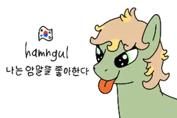 Size: 300x200 | Tagged: safe, artist:hach, oc, unnamed oc, unofficial characters only, earth pony, pony, asian pony, bust, engrish, female, flag, hangul, image, korean, mare, misspelling, moon runes, png, simple background, smiling, solo, south korean flag, tongue out, white background