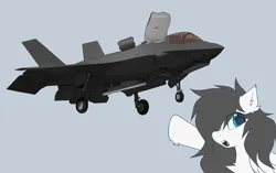 Size: 2081x1305 | Tagged: safe, artist:coarfdraw, derpibooru import, oc, oc:jet blast, unofficial characters only, chest fluff, current events, ear fluff, f-35 lightning ii, floating, image, jet, jet fighter, jet plane, lockheed corporation, looking at you, meme, open mouth, plane, png, pointing, wojak
