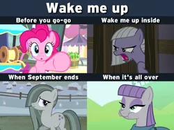 Size: 640x480 | Tagged: safe, derpibooru import, screencap, limestone pie, marble pie, maud pie, pinkie pie, earth pony, pony, hearthbreakers, maud pie (episode), pinkie pride, season 4, season 5, evanescence, female, image, looking at you, mare, meme, png, pointing at you, song reference