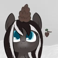 Size: 1020x1020 | Tagged: safe, artist:castafae, derpibooru import, oc, oc:pine ponder, unofficial characters only, pony, taiga pony, chest fluff, female, floating heart, heart, image, mare, on head, pinecone, png, smiling, snow, solo