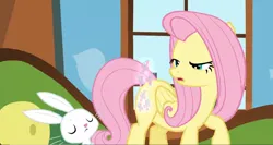 Size: 1366x729 | Tagged: safe, derpibooru import, screencap, angel bunny, fluttershy, pegasus, pony, the hooffields and mccolts, faic, female, image, male, mare, png