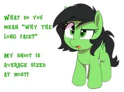 Size: 1150x850 | Tagged: safe, artist:thebatfang, ponerpics import, oc, oc:anonfilly, earth pony, pony, confused, female, filly, image, joke, open mouth, png, raised eyebrow, simple background, solo, text, white background