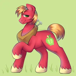 Size: 2900x2900 | Tagged: safe, artist:leopardsnaps, derpibooru import, big macintosh, earth pony, pony, apple family member, confident, g4, grass, image, lidded eyes, png, raised hoof, simple background, smiling, solo