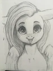 Size: 1536x2048 | Tagged: safe, artist:miokomata, derpibooru import, fluttershy, pegasus, pony, cute, female, floppy ears, freckles, freckleshy, image, jpeg, looking at you, mare, pencil drawing, shyabetes, smiling, smiling at you, solo, traditional art