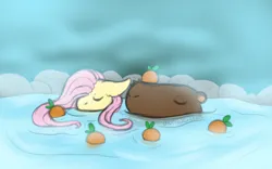 Size: 800x500 | Tagged: safe, artist:diurnalcritters, derpibooru import, fluttershy, pegasus, pony, capybara, eyes closed, female, floppy ears, food, hot springs, image, mare, orange, partially submerged, png, solo