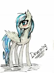 Size: 1009x1358 | Tagged: safe, artist:hysteriana, derpibooru import, oc, ponified, pegasus, pony, blue mane, blushing, cute, dovewing, fantasy class, female, folded wings, gray coat, heart, image, jpeg, mare, old art, pegasus oc, simple background, solo, traditional art, warrior, warrior cats, white background, wings