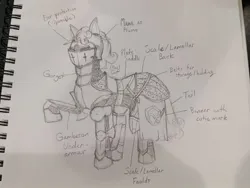 Size: 705x529 | Tagged: safe, artist:autumn sushi, derpibooru import, oc, oc:quickdraw, earth pony, pony, armor, chainmail, clothes, concept art, curly mane, curly tail, cutie mark, cutie mark on clothes, image, jpeg, pencil drawing, photo, plate armor, plume, reference sheet, saddle, sketch, standing, tack, tail, traditional art