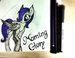 Size: 960x740 | Tagged: safe, artist:hysteriana, derpibooru import, oc, oc:morning glory, oc:morning glory (project horizons), pegasus, fallout equestria, fallout equestria: project horizons, fanfic, fallout, fanfic art, folded wings, image, old art, pegasus oc, png, traditional art, wings