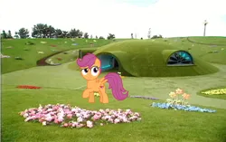 Size: 768x482 | Tagged: safe, artist:sketchmcreations, derpibooru import, scootaloo, pegasus, pony, confused, female, filly, flower, foal, image, png, solo, solo female, teletubbies, teletubbyland, tubbytronic superdome, windmill
