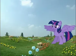 Size: 966x719 | Tagged: safe, artist:chrisgotjar, derpibooru import, twilight sparkle, twilight sparkle (alicorn), alicorn, pony, confused, female, image, mare, png, solo, solo female, spread wings, teletubbies, teletubbyland, wings