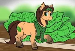 Size: 1599x1100 | Tagged: safe, artist:a0iisa, ponybooru import, oc, unnamed oc, unofficial characters only, earth pony, pony, taiga pony, bandana, cabbage, clothes, dirty, farmer, female, flat color, food, green eyes, image, jpeg, looking at you, mare, mud, muddy, scarf, smiling, smiling at you, solo, thick eyebrows