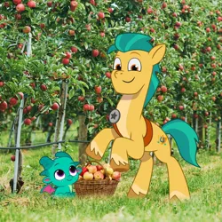 Size: 1080x1080 | Tagged: safe, derpibooru import, official, hitch trailblazer, sparky sparkeroni, dragon, earth pony, pony, g5, my little pony: tell your tale, apple, autumn, baby, baby dragon, bucket, cute, duo, duo male, food, hitchbetes, image, irl, jpeg, looking at you, male, papa hitch, photo, smiling, smiling at you, sparkybetes, stallion