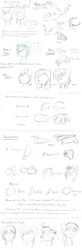 Size: 1960x6000 | Tagged: safe, artist:dshou, derpibooru import, anatomy, high res, how to draw, image, jpeg, mane, tutorial