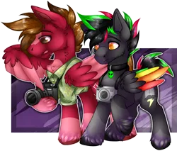 Size: 2467x2104 | Tagged: safe, artist:chvrchgrim, derpibooru import, oc, oc:grand finale, oc:krypt, pegasus, pony, blaze (coat marking), camera, clothes, coat markings, collar, colored wings, facial markings, folded wings, hawaiian shirt, image, male, multicolored hair, multicolored wings, pegasus oc, png, rainbow wings, raised hoof, shirt, socks (coat marking), stallion, two toned wings, unshorn fetlocks, wing hands, wings