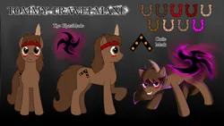 Size: 3840x2160 | Tagged: safe, artist:naughtycatnick, oc, oc:tommy travelmane, unofficial characters only, pony, feather, gradient background, grin, headband, image, looking at you, male, png, ponysona, reference sheet, smiling, solo, stallion, warpaint