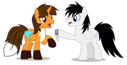 Size: 8000x4122 | Tagged: safe, artist:creedyboy124, derpibooru import, oc, oc:ej, oc:shane park, unofficial characters only, alicorn, pegasus, pony, birthday gift, colored wings, duo, fox tail, image, key, multicolored wings, png, simple background, tail, transparent background, wings