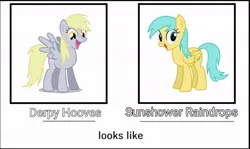 Size: 1042x622 | Tagged: safe, derpibooru import, edit, derpy hooves, sunshower raindrops, pegasus, pony, comparison, duo, duo female, female, image, jpeg, looking at you