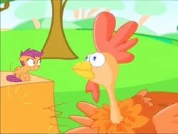 Size: 951x717 | Tagged: safe, derpibooru import, edit, scootaloo, bird, chicken, pegasus, pony, turkey, campfire tales, abuse, faic, haystack, image, jpeg, not salmon, op is a duck, op is trying to start shit, scootabuse, scootachicken, wat