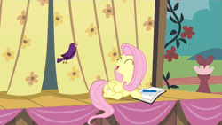 Size: 640x360 | Tagged: safe, derpibooru import, edit, edited screencap, screencap, fluttershy, princess flurry heart, shining armor, alicorn, bird, pegasus, pony, unicorn, animated, baby, baby pony, chirping, cute, eyes closed, faic, flurrybetes, gif, image, majestic as fuck, male, op is a duck, op is trying to start shit, screaming, shyabetes, stallion