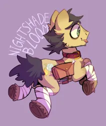 Size: 1650x1950 | Tagged: safe, artist:silverycryptid, derpibooru import, oc, oc:nightshade bloom, earth pony, pony, bag, bags under eyes, bandage, bone, collar, cute, hooves, image, knife, male, png, ponysona, rear view, short tail, stallion, tail, text, tongue out, underhoof, unshorn fetlocks