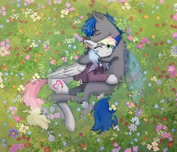 Size: 3376x2894 | Tagged: safe, artist:glumarkoj, derpibooru import, oc, oc:blazey sketch, oc:nightfall, unofficial characters only, changeling, pegasus, blushing, bow, changeling oc, clothes, couple, cuddling, detailed background, duo, flower, flower field, grass, green eyes, grey fur, hair bow, image, lying down, lying on the ground, multicolored hair, pegasus oc, png, smiling, sweater, wings