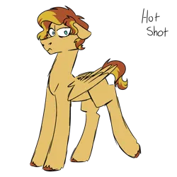 Size: 900x900 | Tagged: safe, artist:fuckomcfuck, derpibooru import, oc, oc:hot shot, pegasus, pony, image, parent:oc:doodles, parent:sunset shimmer, png, simple background, solo, transparent background