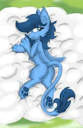 Size: 2570x3975 | Tagged: safe, artist:pzkratzer, derpibooru import, oc, oc:night cloud, sphinx, body pillow, body pillow design, butt, cloud, cute, daaaaaaaaaaaw, featureless crotch, female, image, leonine tail, on a cloud, paws, plot, png, sexy, sphinx oc, tail, underpaw