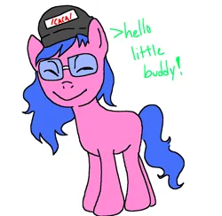 Size: 1600x1562 | Tagged: safe, anonymous artist, artist:anonymous, oc, ponified, pony, admin, blinking, blue mane, crossgender, doll (soyjak), female, full body, glasses, greeting, happy, hat, image, mare, pink coat, png, simple background, soyjak, soyjak.party, text, white background