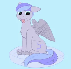 Size: 1610x1571 | Tagged: safe, artist:dsksh, derpibooru import, oc, oc:discoordination, unofficial characters only, pegasus, pony, image, looking at you, male, pegasus oc, pillow, png, simple background, sitting, solo, spread wings, stallion, tail, tongue out, two toned mane, two toned tail, wings