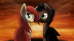 Size: 1960x1080 | Tagged: safe, artist:dshou, derpibooru import, oc, oc:akira, oc:stormy, unofficial characters only, alicorn, pony, zebra, zebrasus, alicorn oc, duo, horn, image, jpeg, looking at each other, looking at someone, sunset, wings