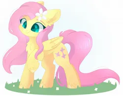 Size: 1709x1334 | Tagged: safe, artist:cinnamontee, derpibooru import, fluttershy, pegasus, pony, cheek fluff, chest fluff, colored eyebrows, cute, ear fluff, eyebrows, female, flower, folded wings, grass, image, jpeg, mare, raised hoof, shyabetes, simple background, smiling, solo, white background, wings